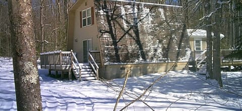 March 2023 caught from our trail cam. 