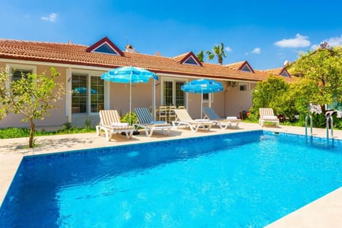 Beautiful villa with private pool, terrace, and garden