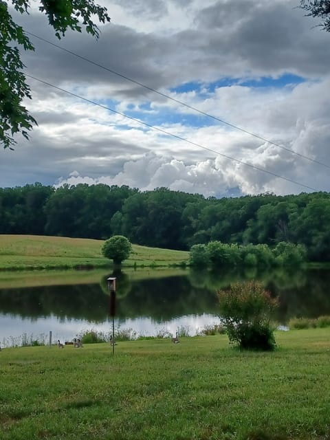 view from The Cabin