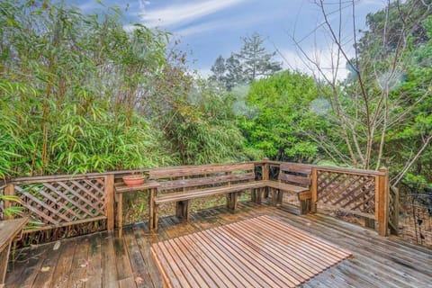 Deck View - enjoy the foliage around the back yard