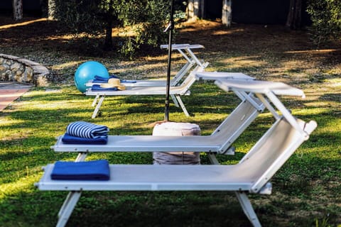 Outdoor Furniture, Furniture, Sunlounger, Leisure, Chair, Shade, Chaise Longue, Garden