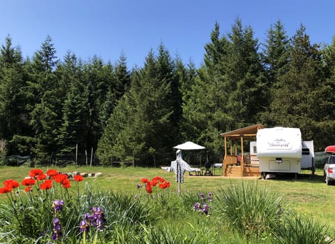 Your temporary home and yard during your stay.