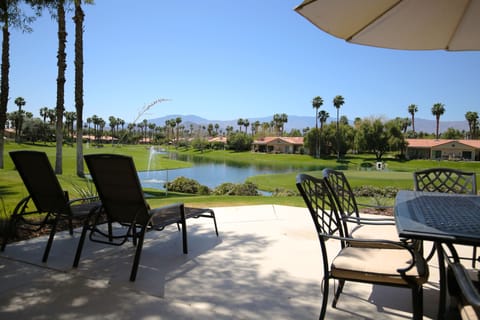 Back patio view