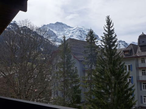 Cloud, Sky, Mountain, Window, Building, Leaf, Highland, Larch, Slope, Biome