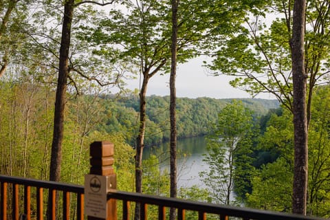 Nature Cabin lake view from the deck