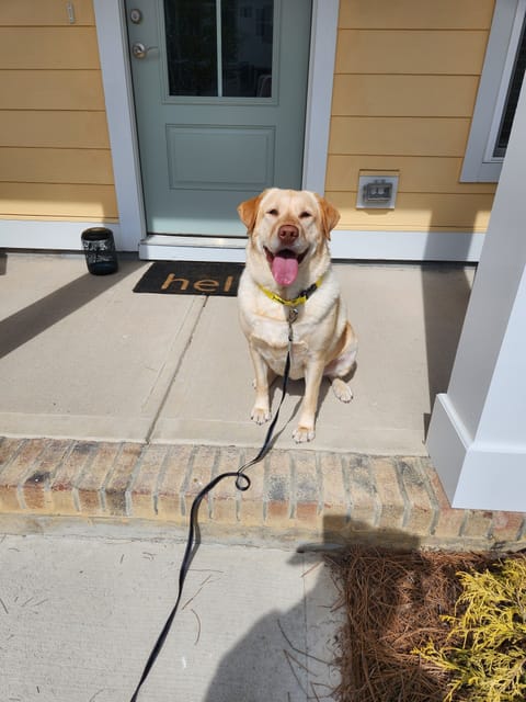 We love to spend time on the front porch year round!
