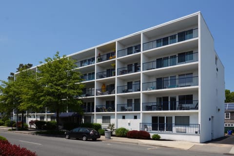Welcome to 409 Rehoboth Ave#3, also known as The Ark Condominiums!