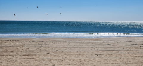 Wonderful, spacious beach