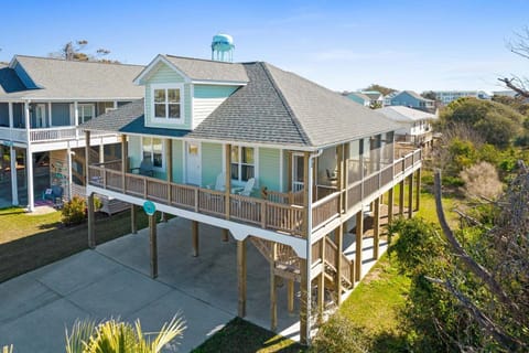 The Painted Turtle (54)