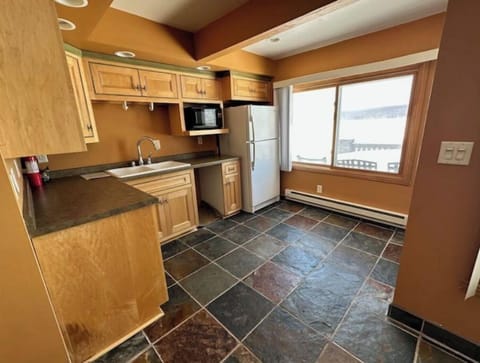 Lower level kitchen off lakeside patio