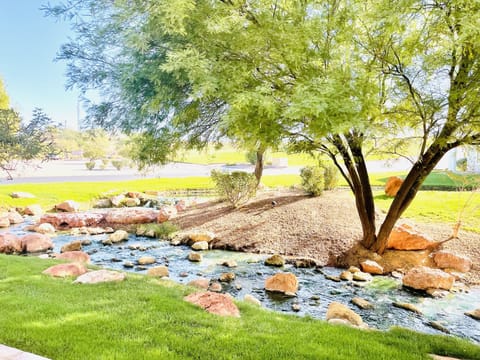 Back Patio