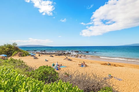 Keawakapu Beach (view in front of condo access)