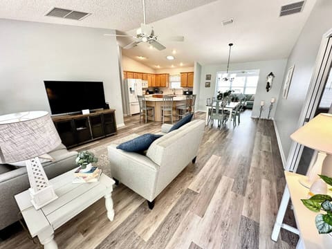 View From Front Door - Open Concept Living Room/Kitchen/Dining