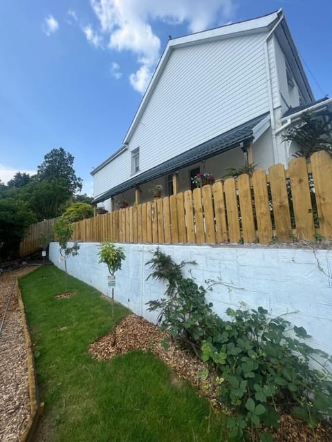 Wildlife garden with hedgehogs and honey bees