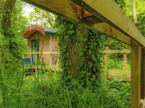 Outdoor area | Woodpecker - Treglisson Pods, Hayle