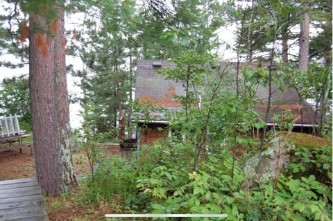 Overlooking cabin and steps down to cabin from parking area