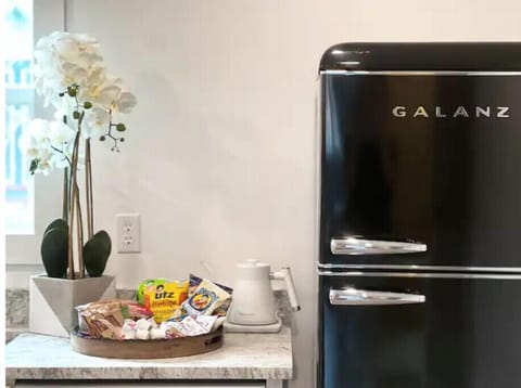 Our retro fridge and treat tray 
