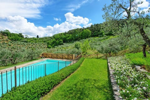Garden, Outdoor, Pool
