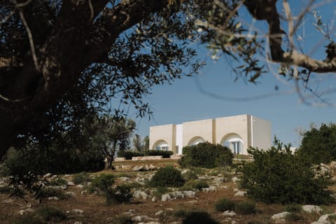 B&B La Scaledda-1