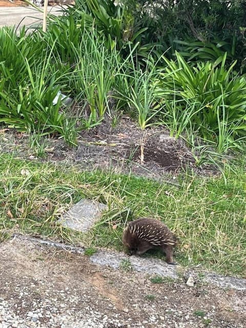 6b19d6c5 7fd5 4f8a 9153 6324c0f2bc88