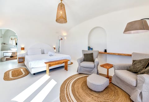 Our Jr. Suite DR.
Inside a Botanical Garden,
Villa,15 units, pools, bar, rest