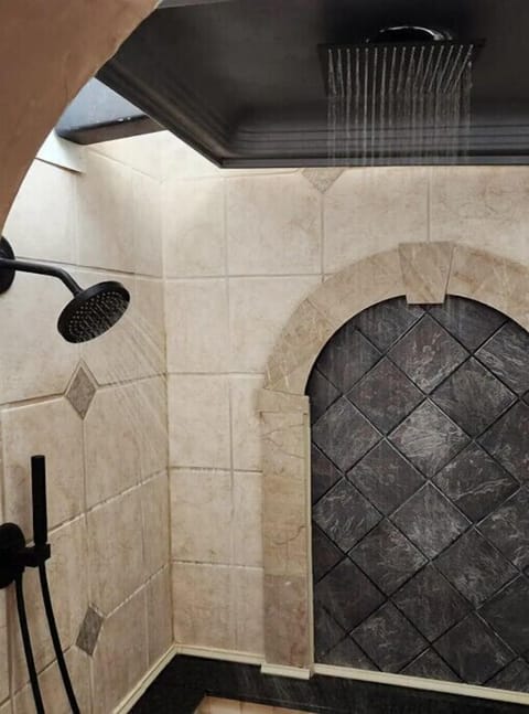 Shower has indirect overhead lighting and optional colored mood lights.