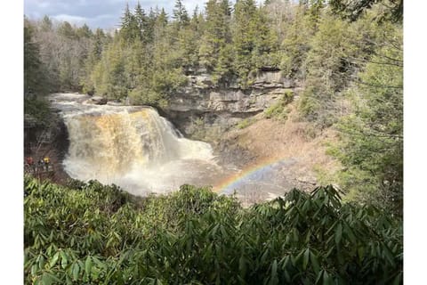 Blackwater Falls State Park