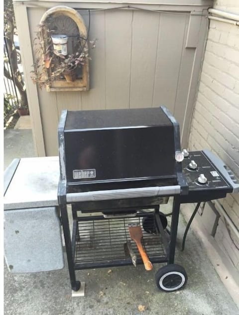 Gas Grill