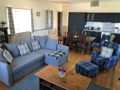 Living area with sofa bed