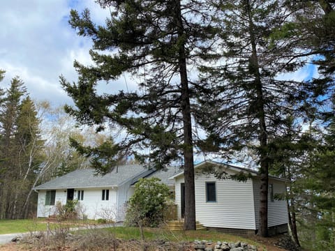 Shellseekers Cottage, welcoming you to one of the quietest neighborhoods in B.H.