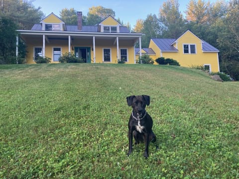 The House (and Scout)