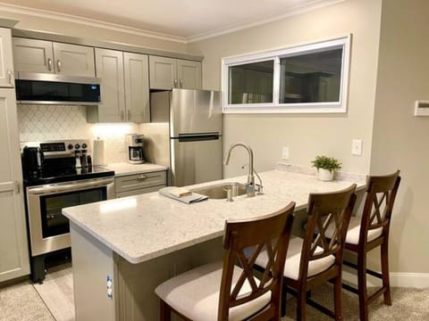 Fully Equipped Kitchen Including Purfied RO water for Ice maker & Faucet 