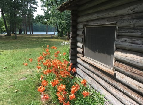 Rustic log in spring 