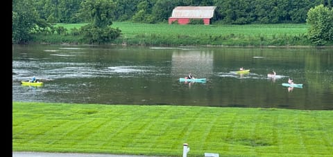 Watch or join the kayakers and rowers.