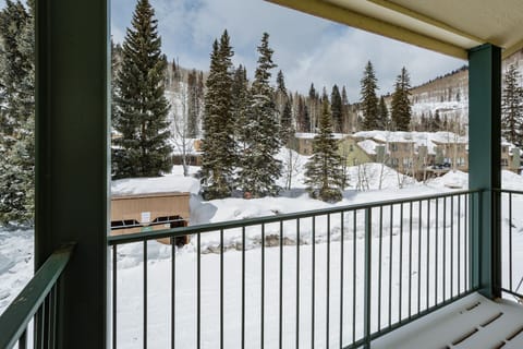 View from Patio in the Winter