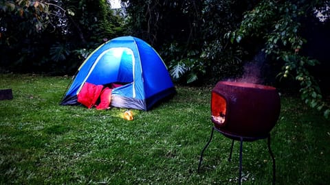 Jungle camping adventures for little ones  in the safe and secure back yard. 