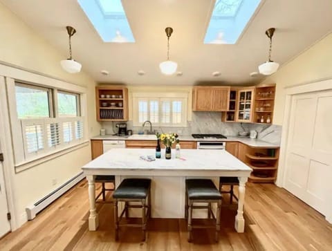 Kitchen with skylights and pantry closed. 