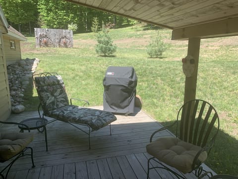 Back porch - Weber propane barbecue