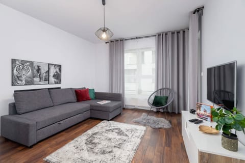 A spacious and modern living area featuring a gray sofa, a white TV stand with a flat-screen TV, and a cozy rug.