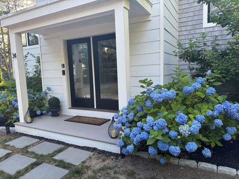 Beautiful entry