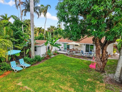 Tranquil backyard