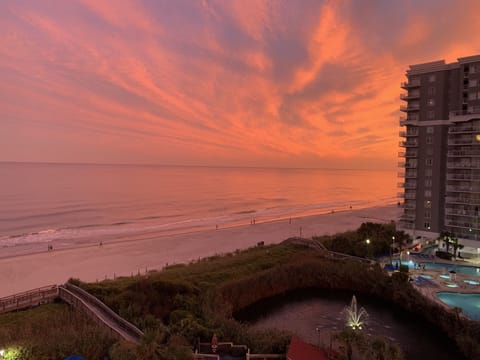 The ocean is calling you!