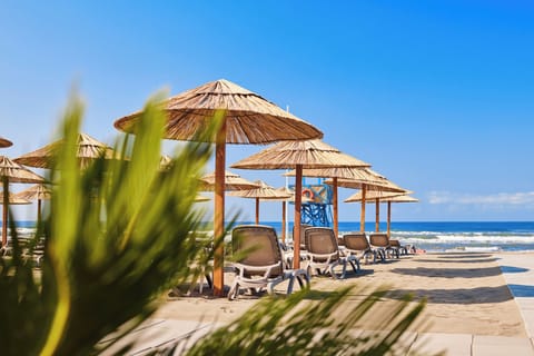Beach View