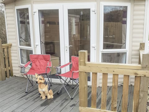 Terrace | Doggy Dell, Stour Row