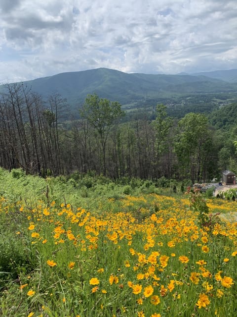 As the seasons cycle, the wildflower meadow on property has lovely colors.