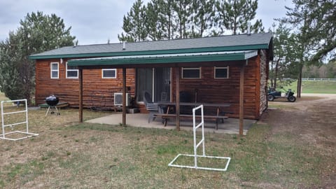 Backyard Patio Springtime