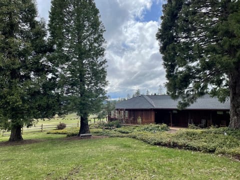 view of the house and lawn area, the nearest neighbor is 1 mile away