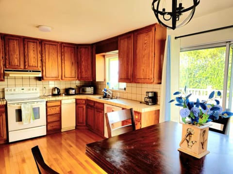 Dining and kitchen area