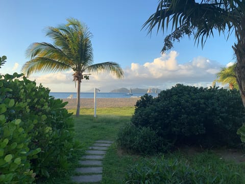 View from the back steps