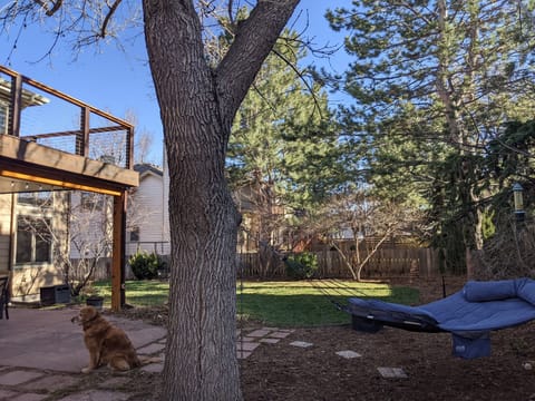 It's early spring—sunlight warms the hammock before the leaves provide shade.